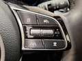 Kia Ceed SW / cee'd SW 1.6 DCT Plug-in Hybrid Inspiration Navi|RFK|LED Grau - thumbnail 20