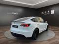 Tesla Model Y Long Range AWD NAVI ACC PANO 21" Weiß - thumbnail 5