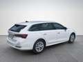 Skoda Octavia Premium TDI DSG Weiß - thumbnail 6