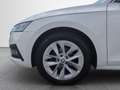 Skoda Octavia Premium TDI DSG Weiß - thumbnail 9
