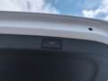 Skoda Octavia Premium TDI DSG Weiß - thumbnail 15