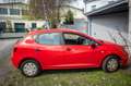 SEAT Ibiza Chili 1,2 Erstbesitz / Pickerl bis 2027 - thumbnail 3