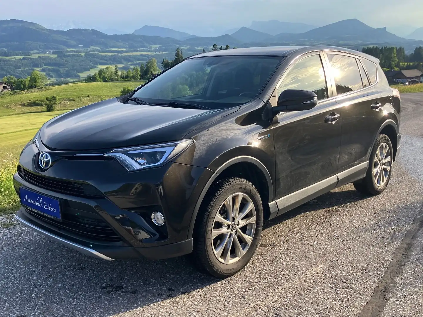 Toyota RAV 4 Hybrid Edition, Kamera, Automatik, LED, AHK, Braun - 1