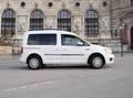 Volkswagen Caddy Caddy Kombi Austria 2,0 TDI Austria Weiß - thumbnail 4