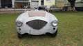 Austin-Healey 100 100/4 BN1 2.7 DA RESTAURO Bianco - thumbnail 2