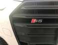 Audi A5 S5 3.0 TFSI quattro tiptronic Business Bianco - thumbnail 6