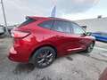Ford Kuga 2.5 Duratec 190 ch FHEV E85 ST-Line X BVA Rot - thumbnail 4