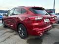 Ford Kuga 2.5 Duratec 190 ch FHEV E85 ST-Line X BVA Rot - thumbnail 7