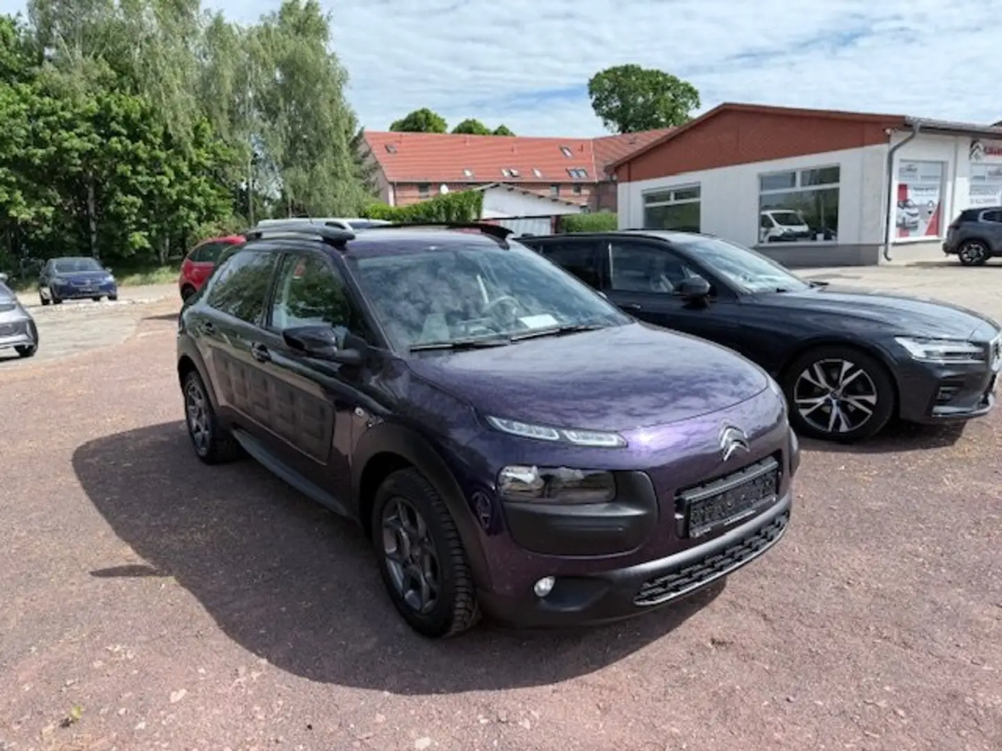 Citroen C4 Cactus Shine Lila - 2