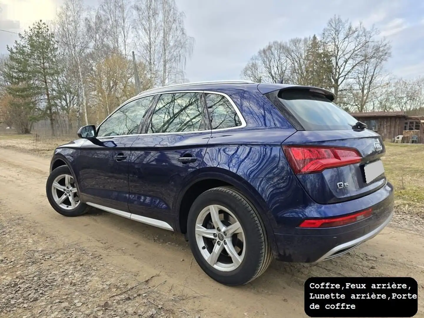 Audi Q5 Q5 2.0 TDI quattro S tronic Bleu - 1