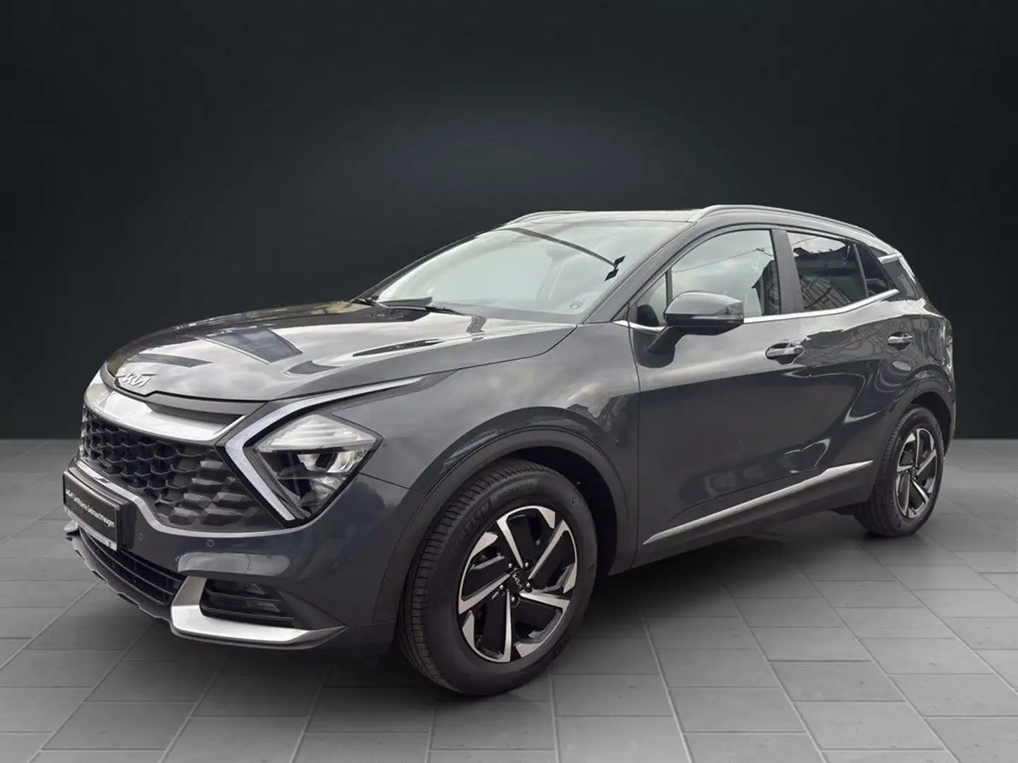 Kia Sportage Vision Navi SHZ PDC LED Grijs - 2