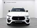 Maserati Levante Modena (Ultima) Weiß - thumbnail 5