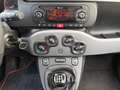Fiat Panda 1.2 Lounge Blu/Azzurro - thumbnail 14