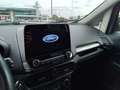 Ford EcoSport 1.0 EcoBoost Business Grigio - thumbnail 12