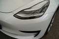 Tesla Model 3 Standard Range + *19-Zoll*Mwst.* Alb - thumbnail 14