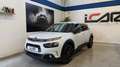 Citroen C4 Cactus Shine Bianco - thumbnail 7