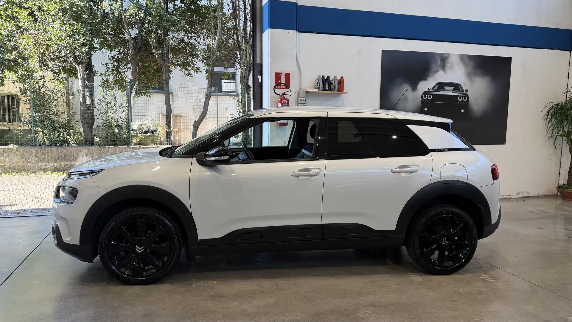 Citroen C4 Cactus Shine Bianco - 1