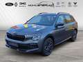 Skoda Kamiq 1.0 TSI DSG Selection Grau - thumbnail 1
