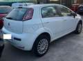 Fiat Punto Punto 5p 1.4 natural power Street (easy) 70cv Blanc - thumbnail 5