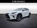 Lexus NX 300h Privilege Line Blanc - thumbnail 1