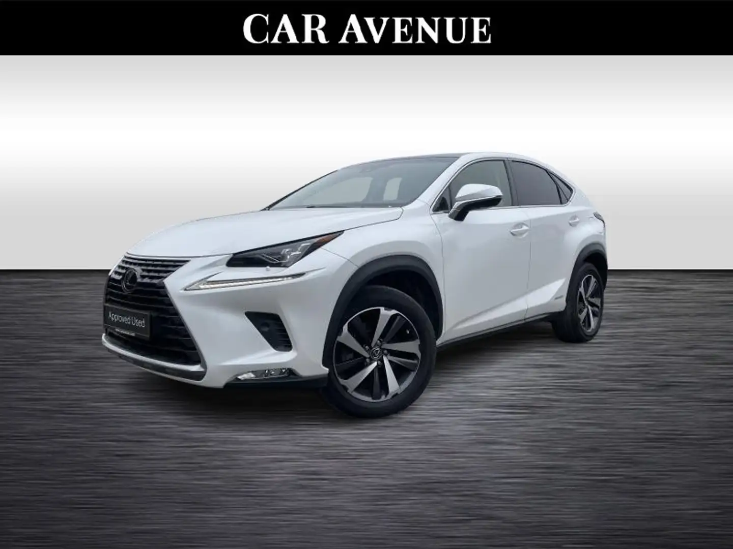 Lexus NX 300h Privilege Line Blanc - 1