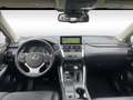 Lexus NX 300h Privilege Line Blanc - thumbnail 8
