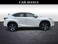 Lexus NX 300h Privilege Line Blanc - thumbnail 5