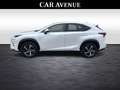 Lexus NX 300h Privilege Line Blanc - thumbnail 6