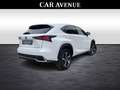Lexus NX 300h Privilege Line Blanc - thumbnail 2