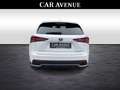 Lexus NX 300h Privilege Line Blanc - thumbnail 4