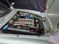 Alfa Romeo Spider Junior Veloce 1.6cc del 1979 certif. ASI con C.R.S Argent - thumbnail 24