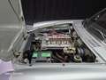 Alfa Romeo Spider Junior Veloce 1.6cc del 1979 certif. ASI con C.R.S Argent - thumbnail 23