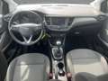 Opel Crossland 1.2 Edition LED/Multimedia/SHZ/LHZ/KAM Bianco - thumbnail 11