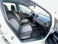 Fiat Punto 5p 1.3 mjt 95CV 5PORTE EURO6 NAVI White - thumbnail 10