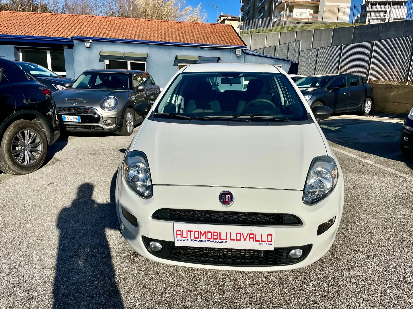 Fiat Punto 5p 1.3 mjt 95CV 5PORTE EURO6 NAVI White - 2