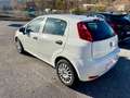Fiat Punto 5p 1.3 mjt 95CV 5PORTE EURO6 NAVI White - thumbnail 4