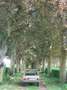 Peugeot 104 GL - thumbnail 15