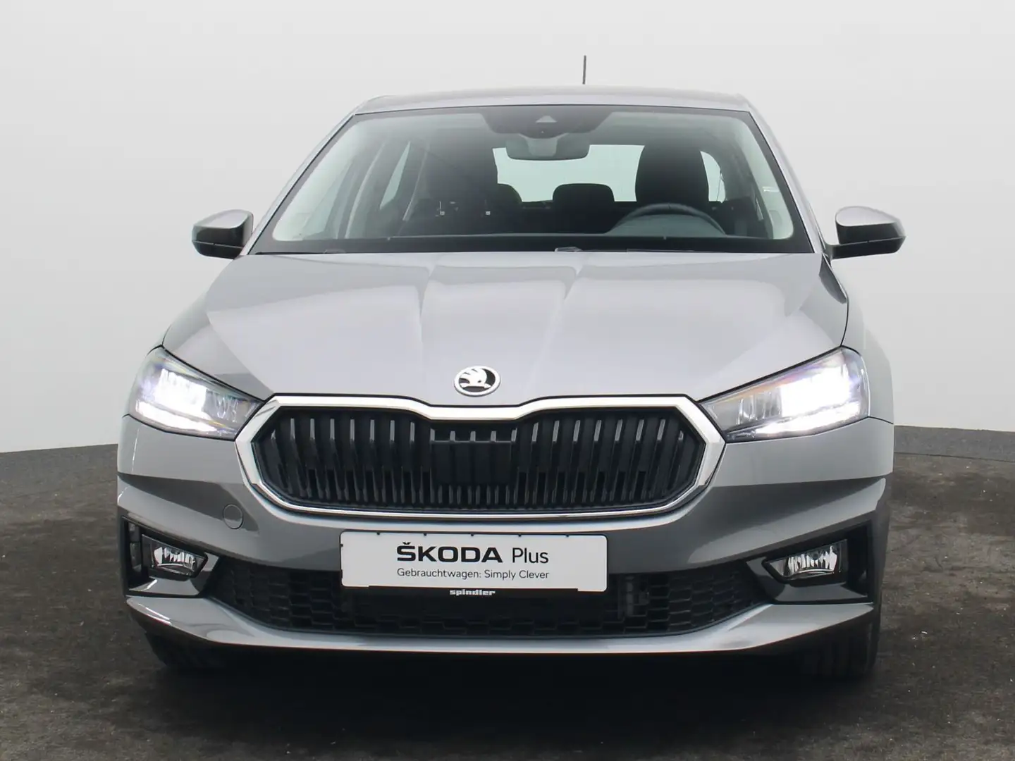 Skoda Fabia Selection 1.0TSI / Tempomat, PDC, SHZ, LED Grau - 2