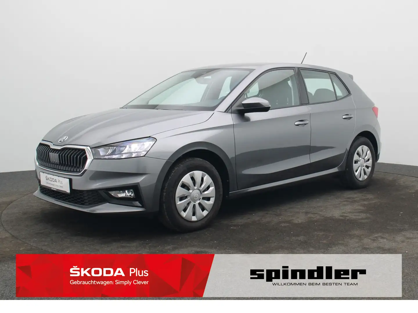 Skoda Fabia Selection 1.0TSI / Tempomat, PDC, SHZ, LED Grau - 1