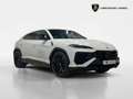 Lamborghini Urus 4.0 V8 800ch BVA8 SE Gris - thumbnail 12