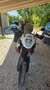 KTM 1190 Adventure Bianco - thumbnail 4