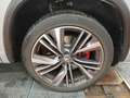 Skoda Kodiaq RS 2.0 TSI DSG 4x4 PANO+RKAM+ACC+KESSY Klima Navi Grau - thumbnail 7