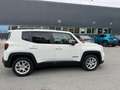 Jeep Renegade Renegade 2019 1.6 mjt Limited 2wd 120cv ddct Bianco - thumbnail 5