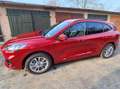 Ford Kuga Kuga 2.5 Duratec FHEV ST-LINE X Rot - thumbnail 3