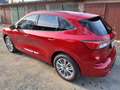 Ford Kuga Kuga 2.5 Duratec FHEV ST-LINE X Rot - thumbnail 4