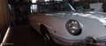 Fiat 850 spider Sport - thumbnail 6