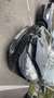 Renault Clio III dCi 75 eco2 Business - thumbnail 6