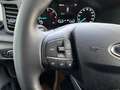Ford Transit Transit Kasten 2,0 EcoBlue L2H2 290 Trend Bleu - thumbnail 19