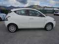 Lancia Ypsilon Ypsilon  0.9 t.air Gold Automatica Wit - thumbnail 14