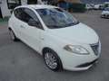 Lancia Ypsilon Ypsilon  0.9 t.air Gold Automatica Wit - thumbnail 16